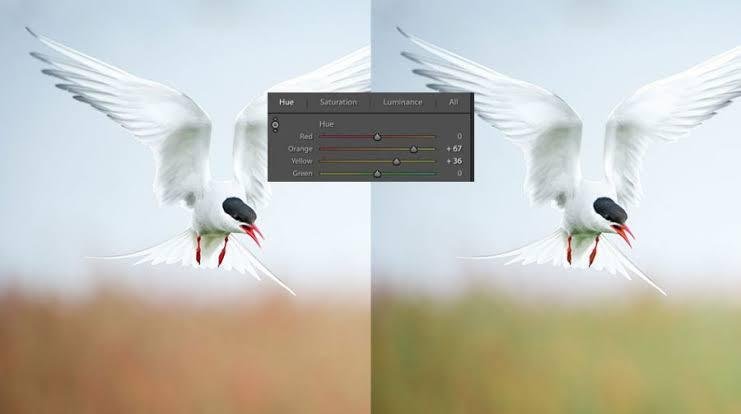 Post-processing tips to enhance and improve photography images