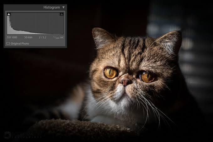 Post-processing tips to enhance and improve photography images